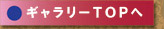 ギャラリーＴＯＰへ戻る